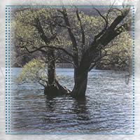 Enterprise-level Business continuity and disaster recovery services provided by Cove Systems, Inc.